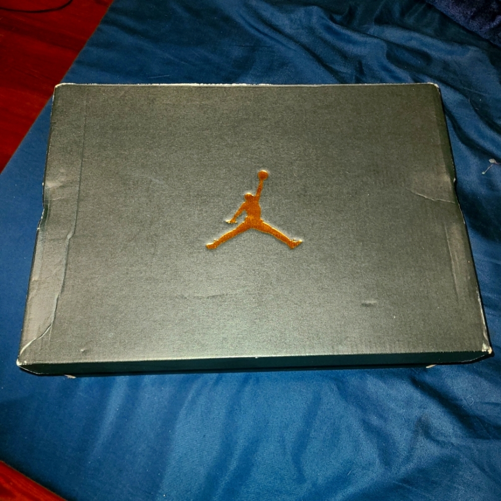 Mens Jordan team 2 elite low 11